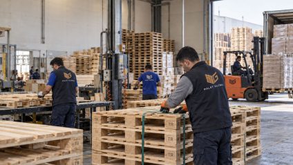Palet Global tesisinde ahşap palet üretimi ve istifleme